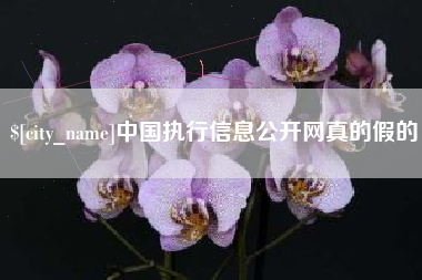 淮南中国执行信息公开网真的假的