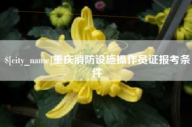 淮南重庆消防设施操作员证报考条件