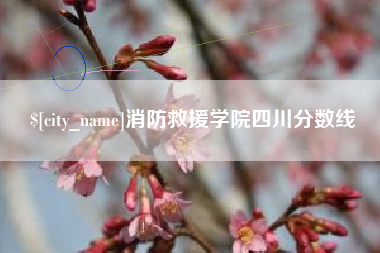 淮南消防救援学院四川分数线