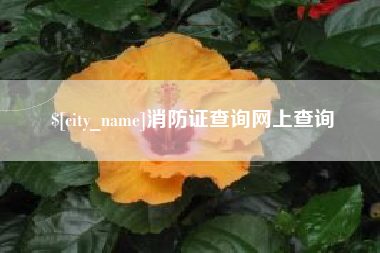 淮南消防证查询网上查询