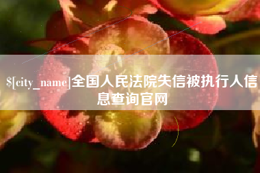 淮南全国人民法院失信被执行人信息查询官网