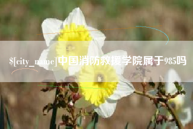 淮南中国消防救援学院属于985吗