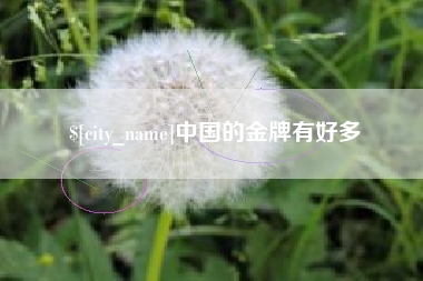 淮南中国的金牌有好多