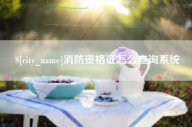 淮南消防资格证怎么查询系统