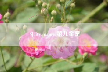 淮南第九金是