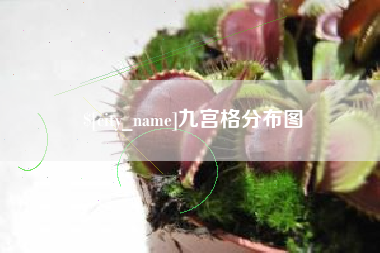 淮南九宫格分布图