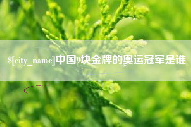 淮南中国9块金牌的奥运冠军是谁