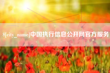 淮南中国执行信息公开网官方服务