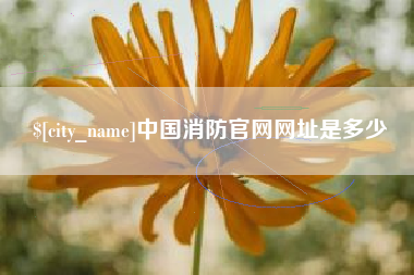 淮南中国消防官网网址是多少
