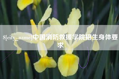 淮南中国消防救援学院招生身体要求