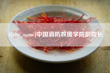 淮南中国消防救援学院副院长