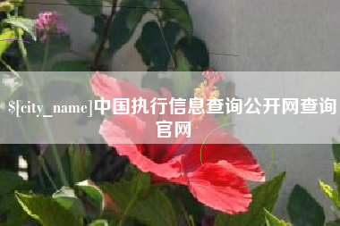 淮南中国执行信息查询公开网查询官网