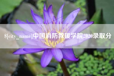 淮南中国消防救援学院2020录取分