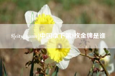 淮南中国拿下第9枚金牌是谁