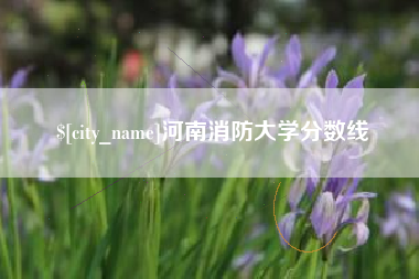 淮南河南消防大学分数线