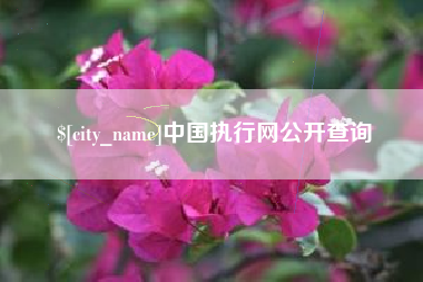 淮南中国执行网公开查询