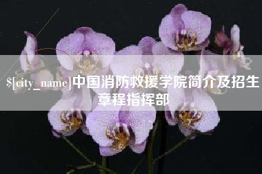 淮南中国消防救援学院简介及招生章程指挥部