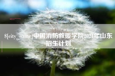 淮南中国消防救援学院2021年山东招生计划
