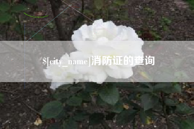 淮南消防证的查询