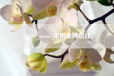 淮南中国金牌估计