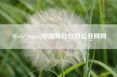 淮南中国执行信息公开网网