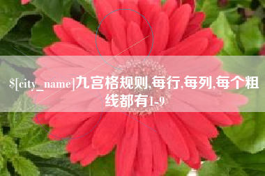 淮南九宫格规则,每行,每列,每个粗线都有1-9