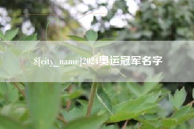 淮南2024奥运冠军名字
