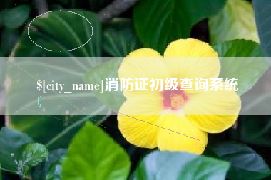 淮南消防证初级查询系统