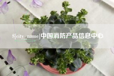 淮南中国消防产品信息中心
