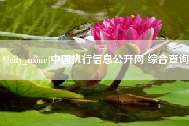 淮南中国执行信息公开网 综合查询