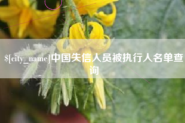 淮南中国失信人员被执行人名单查询