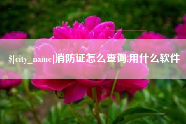 淮南消防证怎么查询,用什么软件