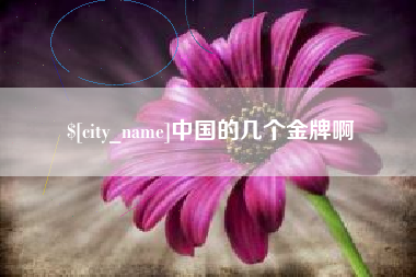 淮南中国的几个金牌啊