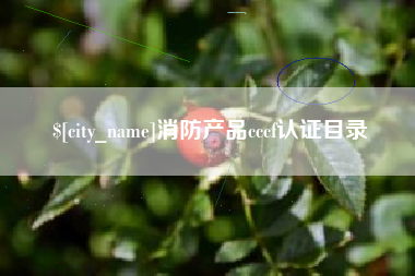 淮南消防产品cccf认证目录