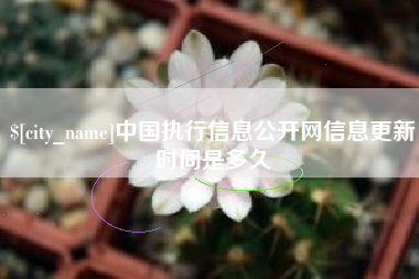 淮南中国执行信息公开网信息更新时间是多久