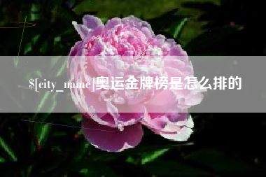 淮南奥运金牌榜是怎么排的