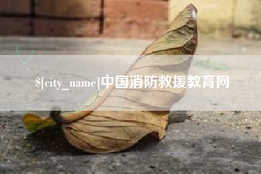 淮南中国消防救援教育网