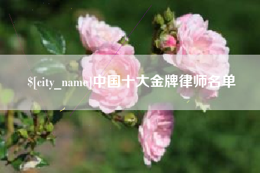 淮南中国十大金牌律师名单