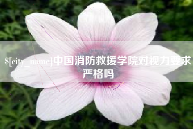 淮南中国消防救援学院对视力要求严格吗