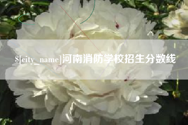 淮南河南消防学校招生分数线