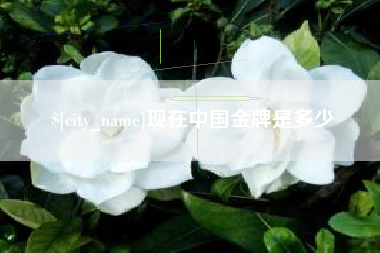 淮南现在中国金牌是多少