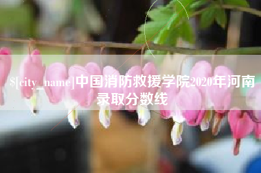 淮南中国消防救援学院2020年河南录取分数线