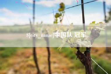 淮南中国队 冠军