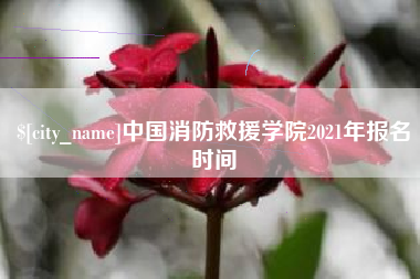 淮南中国消防救援学院2021年报名时间