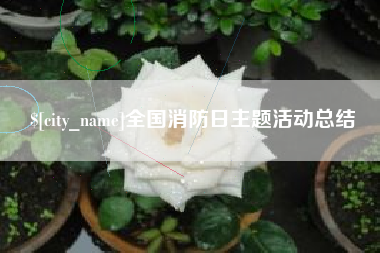 淮南全国消防日主题活动总结