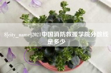 淮南2021中国消防救援学院分数线是多少