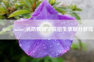 淮南消防救援学院招生录取分数线