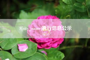 淮南执行信息公示