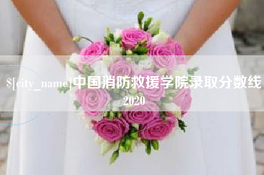 淮南中国消防救援学院录取分数线2020