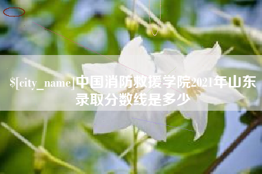淮南中国消防救援学院2021年山东录取分数线是多少